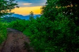 Tennessee State Parks Host National Trails Day Hikes Saturday, June 4