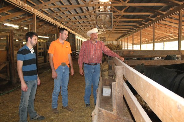 Middle Tennessee AgResearch and Education Center Director Kevin Thompson (pictured far right) inspects some of the Junior Test bulls upon their arrival last fall.  After completing the 84-day performance test, the bulls will be sold at public auction on Thursday, March 7.