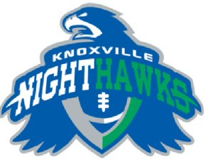 Knoxville Nighthawks logo