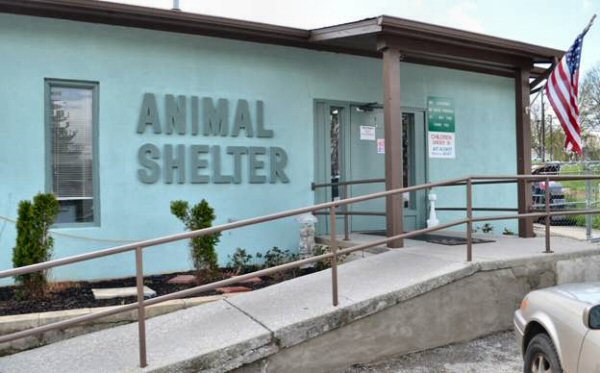 Morristown Animal Shelter Money Stolen 05232013
