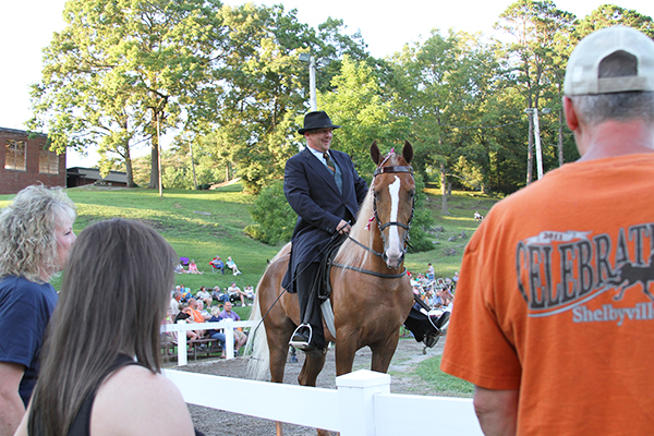 2013 Chestnut Hill Horse Show - Staff Photo