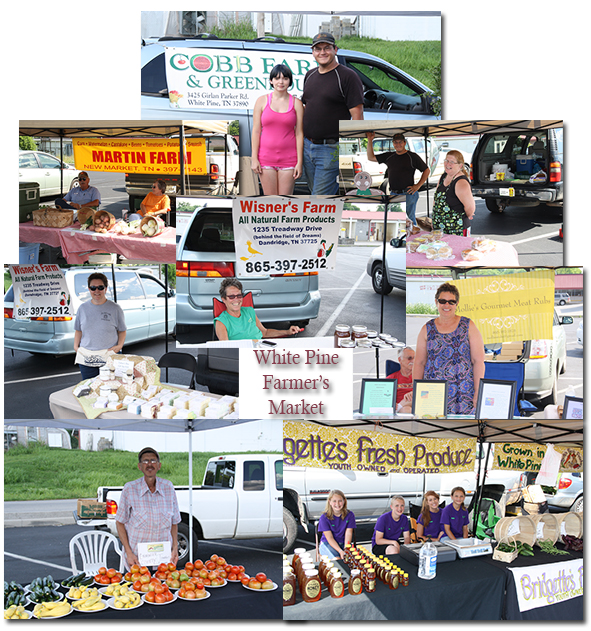 White Pine Farmers Market Collage 06152013
