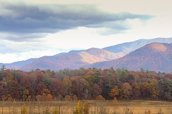 Cades Cove, Great Smoky Mountains National Park, November 2, 2013 - Staff Photo by Jeff Depew