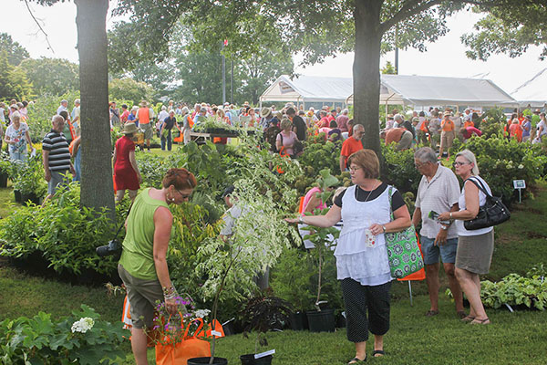 Find a plant you can't live without at the UT Gardens Summer Celebration Master Gardener Plant Sale. Plant sale begins at 9 a.m. on Thursday, July 10. The rest of the day's festivities begin at 10 a.m. Photo  by G. Rowsey, courtesy UTIA