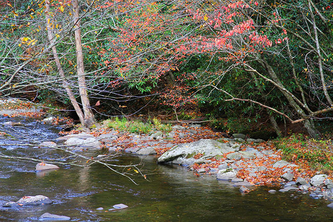 Smoky Mountain National ParkStaff Photo by Jeff Depew