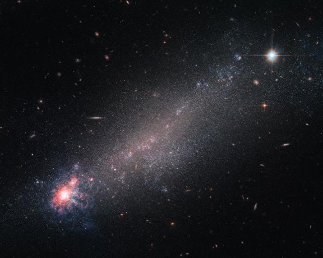 The lesser-known constellation of Canes Venatici (The Hunting Dogs), is home to a variety of deep-sky objects -- including this beautiful galaxy, known as NGC 4861. Astronomers are still debating on how to classify it. While its physical properties -- such as mass, size and rotational velocity -- indicate it to be a spiral galaxy, its appearance looks more like a comet with its dense, luminous 'head' and dimmer 'tail' trailing off. Features more fitting with a dwarf irregular galaxy.ESA/Hubble & NASA