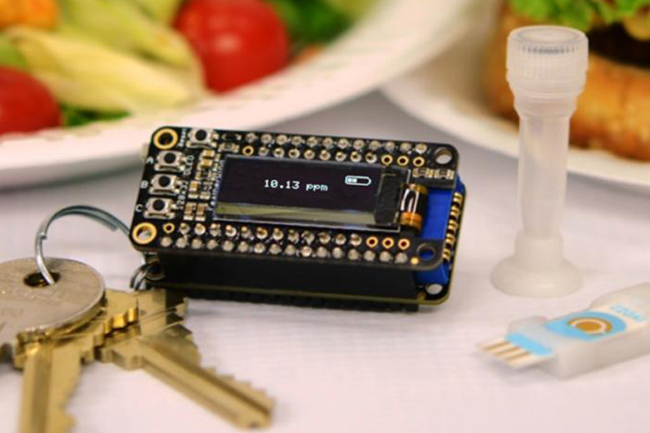 A portable allergen-detection system with a keychain analyzer could help people with food allergies test their meals.The American Chemical Society