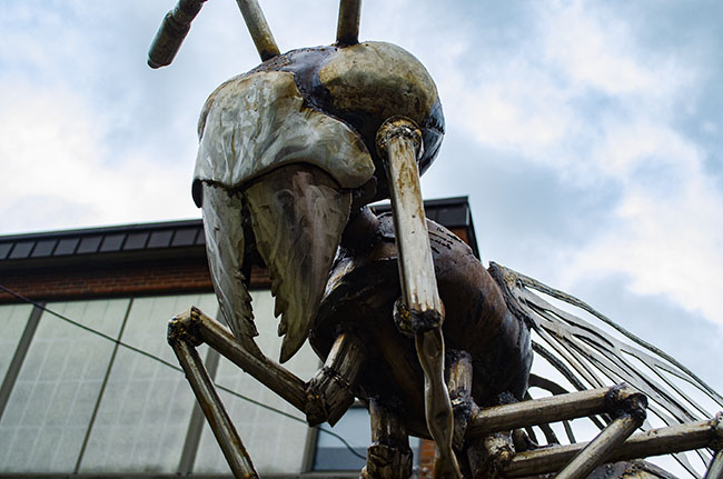hornet sculpture closeup