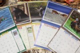 Photo Contest for Tennessee Wildlife Calendar Underway!
