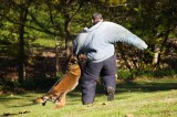 K-9s & Officers Showing Off At Wags & Waddles Duck Hunt