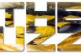 The Buzzz!! The Buzzz!!