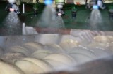 UT, NC State scientists secure nearly $2 million grant to improve produce safety UT, NC State scientists secure nearly $2 million grant to improve produce safety