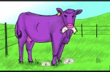Time To Graze Time To Graze