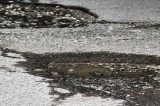 Potholes Season Arrives
