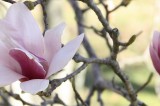 Welcome Spring Welcome Spring