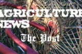 Weekly Crop Comments, May 17, 2013 Weekly Crop Comments, May 17, 2013