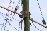 Do You Know WHAT This Is? Do You Know WHAT This Is?