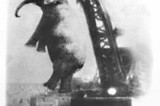Stranger Than Fiction: The Hanging of “Murderous” Mary Stranger Than Fiction: The Hanging of “Murderous” Mary