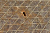 Do You Know WHAT This Is? Do You Know WHAT This Is?