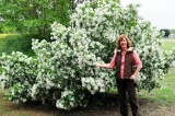May Plant of the Month: Chinese fringetree