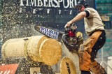 Timberjack survives Kidney transplant to Compete again