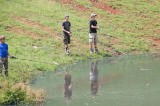 TWRA REGION 4 FISHING REPORTS TWRA REGION 4 FISHING REPORTS