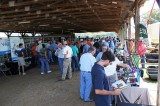 UT AgResearch to host Tobacco, Beef and More Field Day