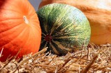 Stay Safe this Halloween with these tips from the American Academy of Pediatrics Stay Safe this Halloween with these tips from the American Academy of Pediatrics