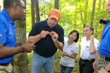 MTSU researchers dig for ginseng in East Tennessee