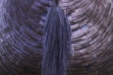 Mystery Pic Mystery Pic