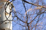 AEC Mourns the Loss of Lineman in Electrical Contact Incident AEC Mourns the Loss of Lineman in Electrical Contact Incident