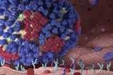Center for Disease Control Releases Hot List for 2014 Center for Disease Control Releases Hot List for 2014