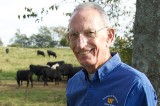 UT animal scientist named top BQA educator UT animal scientist named top BQA educator