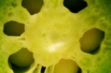 Do You Know What This Is? Do You Know What This Is?