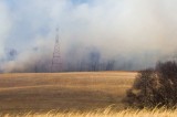 High Winds Contribute To Large Brush Fire