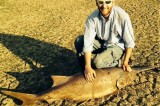 First Paddlefish Catch Becomes State Record for Hawkins County Resident