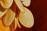 Know What It Is? Know What It Is?