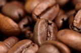 Two Large Studies Link Higher Coffee Consumption to Reduced Risk for Death