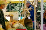 Fall Produce Abounds At Dandridge Farmer’s Market