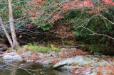 Leaf Report Update – Colors Rapidly Advancing Leaf Report Update – Colors Rapidly Advancing