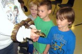 All Saints’ Episcopal School Celebrates The Feast Of St. Francis of Assisi All Saints’ Episcopal School Celebrates The Feast Of St. Francis of Assisi