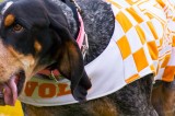 Vols Heading to …….Taxslayer.com Bowl