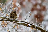 Winterizing: the Early Bird Saves Cash