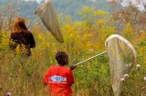 Park and Tremont Host Monarch Butterfly Event