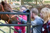 Local FFA Hosts Petting Zoo