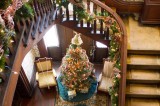 All Dressed up for the Holidays All Dressed up for the Holidays