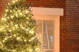 Dandridge Lights Town Christmas Tree