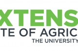 UT Extension October Virtual Programs UT Extension October Virtual Programs