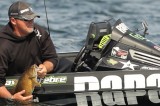Mild Winter Could Give Bassmaster Elite Series Anglers Multiple Options at Cherokee