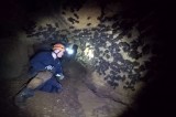 TWRA Surveys Sizable Gray Bat Hibernaculum In East Tennessee TWRA Surveys Sizable Gray Bat Hibernaculum In East Tennessee